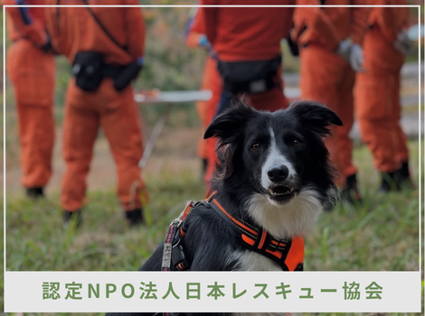 「犬とともに社会に貢献する」日本レスキュー協会30年の歩みと知られざる活動