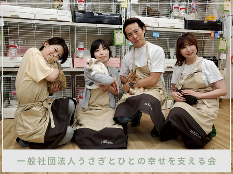 うさぎにも、人にも、次の幸せを。 保護うさぎを新しい家族へつなぐ、うさぎとひとの幸せを支える会