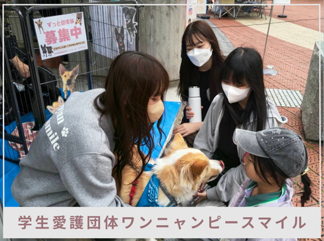 「知ること」も、保護活動になる。  学生愛護団体ワンニャンピースマイルがつなぐ、命と子どもたちの居場所