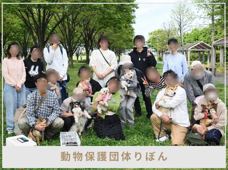 目の前の一匹から始まった、命のバトン 〜動物保護団体りぼんがつなぐ、人と動物の居場所〜