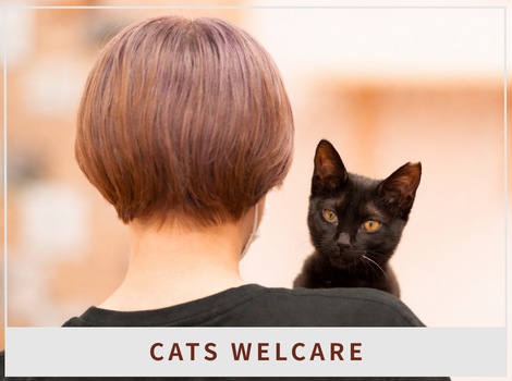猫を救うために、人にも優しくありたい。 ── CATS WELCAREが貫く「ねこのしあわせ、ひとのしあわせ」