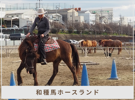 絶滅寸前の日本在来馬を未来へ──大阪「和種馬ホースランド」が伝える、馬と人の新しい関係