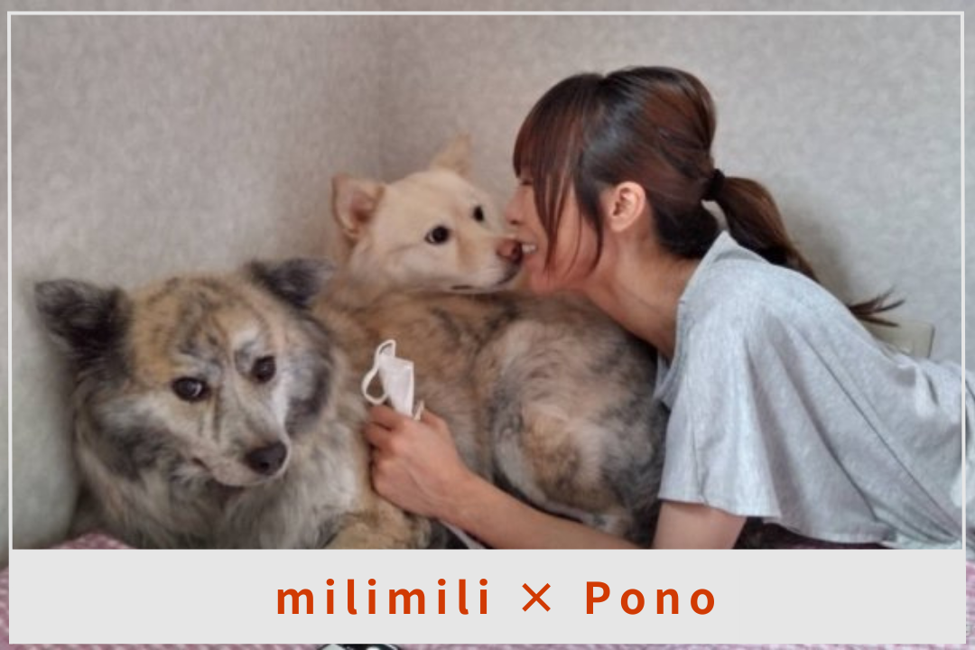犬と人の幸せを結ぶ場所──Café &Dog salon Pono × milimili