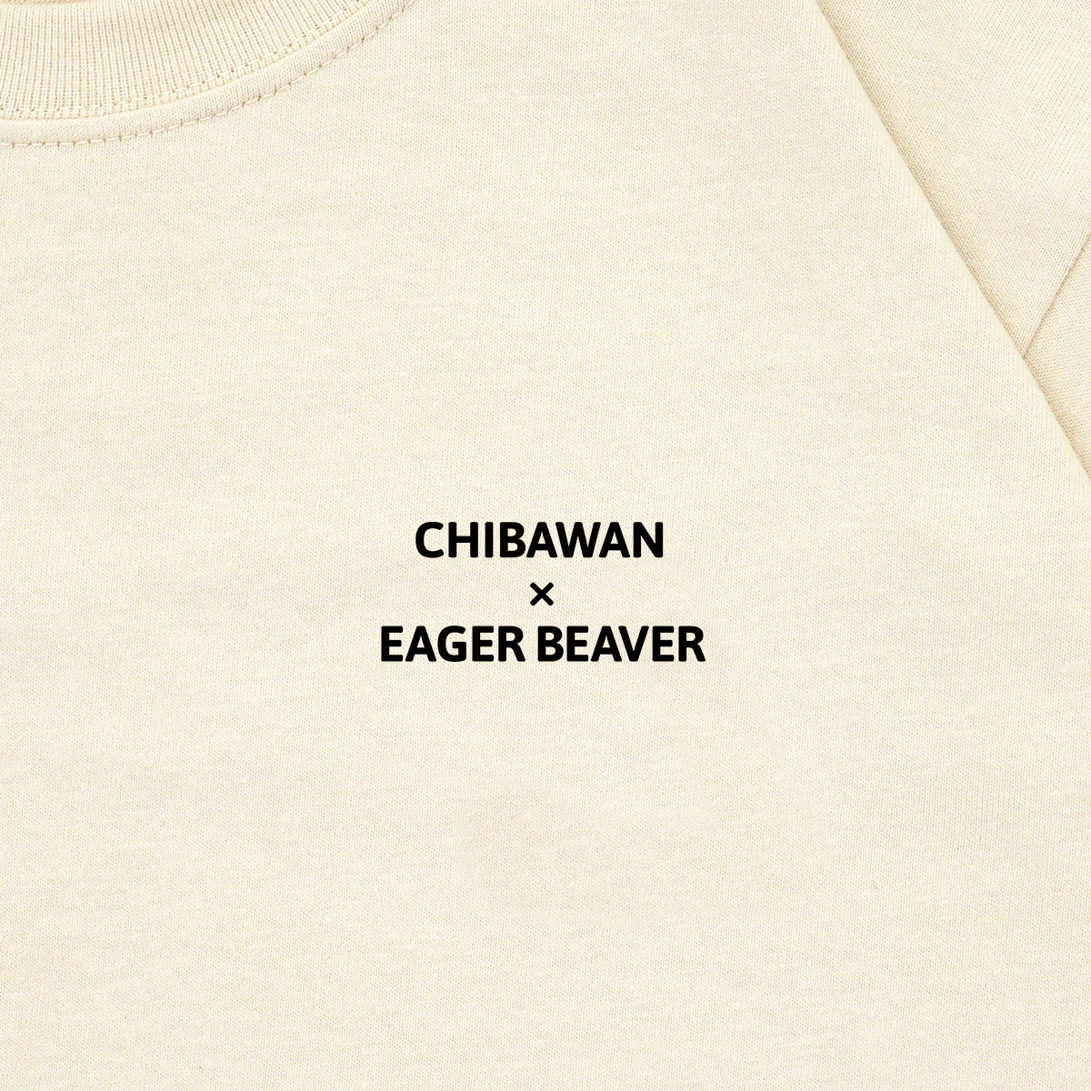 【 ちばわん 】 Text T-shirt